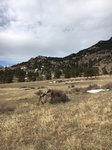 2017-02-19_13-50-47_E3E86688-55DC-4575-81C2-839D1B4FDE6C.jpg