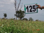 124610125b-rainfed-agriculture-millet-sorghum.gif