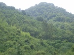 2012-09-08_19-26-41_RIMG0175.JPG