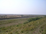 4661RIMG0089.JPG