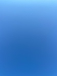 2020-08-25_18-47-27_2020-8-25-18-43-50.jpg