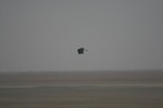 4176IMG_8814.JPG