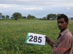 130200285c-rainfed-agriculture-soyabean-second-crop-wheat.gif