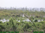 1426R0015162_tag.jpg