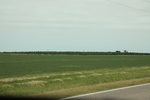 2022-06-11_17-39-23_3D437A15-0D9C-463C-A20F-FA5F222F844E.jpeg