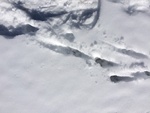 2017-02-24_14-46-20_Feb17-116-VT.jpg