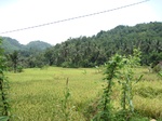 14057IMG_4384.JPG