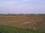 3168R0017202.JPG