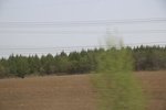 2017-05-12_17-07-58_2017-05-04 23.10.24.jpg