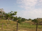 5621100_1048.JPG