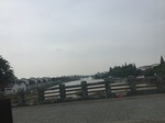 2017-09-10_10-11-03_6BB9CCB4-5331-4E4E-85C3-62EF2A9CB7DD.jpg