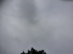 2020-09-30_15-49-51_2020-9-26-16-44-3.jpg
