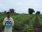 70110180c-irrigated-supplemental-groundwater-sugarcane-cotton-millet.jpg