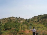 7798gt037b-wasteland-shrubland.jpg