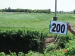 127280200d-irrigated-supplemental-groundwater-rice-dominant-maize-doublecrop.gif