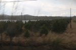 2017-05-12_17-56-36_2017-05-06 02.00.22.jpg