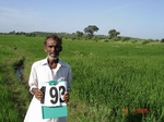 70510193a-irrigated-supplemental-tank-rice-doublecrop.jpg