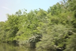 2022-05-26_14-42-58_885843AC-4E8B-48FE-8121-ED77F462B10F.jpeg