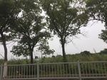 2017-09-10_20-38-57_0E7F7539-2D9F-4210-B361-5CF09FD674C6.jpg