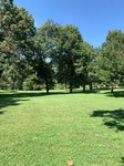 2020-08-20_15-37-51_2020-8-20-15-37-1.jpg