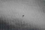 368IMG_3477.JPG