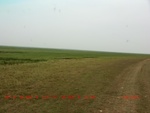 38903CIMG4769.gps.jpg
