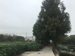2017-09-11_22-14-55_D06F104D-4E5E-4687-AF5B-6207158D1304.jpg