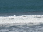 15434IMG_4308.JPG