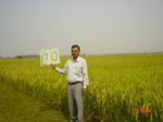 11241gt070-cropland-2.jpg