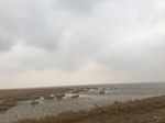 2018-01-08_09-58-53_E9BE0F34-7702-4EF1-898A-E505AAB48853.jpg