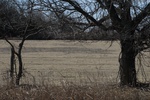10141Field Survey 1 030.JPG