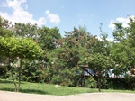 5583100_0986.JPG