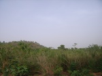 3811RIMG0115.JPG