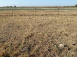 39301WATO20110809S.JPG