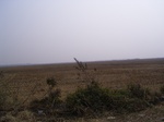 3118 051.jpg