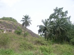 3746RIMG0050.JPG