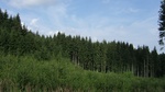 2016-07-29_02-41-14_DSCF1894.JPG