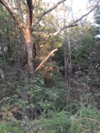 2020-10-06_18-49-41_20201006_180743.jpg