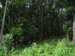 14196IMG_4535.JPG