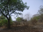 4006RIMG0310.JPG