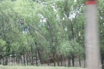 2018-06-01_17-39-39_2018-05-18 02.09.59.jpg