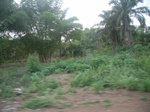4070RIMG0375.JPG