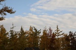 2019-12-06_16-59-30_4E8A0677.JPG
