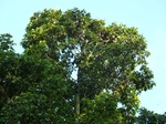 2012-10-17_20-32-20_388.JPG
