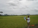 6370079d-irrigated-major-canal-and-tank-rice-coconut-fragment-doublecrop.jpg