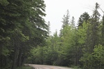 2022-06-12_15-42-56_C5E98872-BE63-49CC-8007-081CAE76A6EB.jpeg