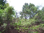 1727020042008(54).JPG