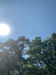 2020-09-28_19-17-12_2020-9-26-11-38-13.jpg