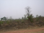 3946RIMG0250.JPG