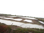 14489IMG_4848.JPG